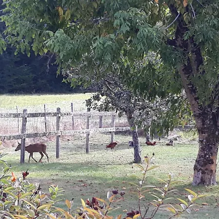 Dom wakacyjny Des Gravets