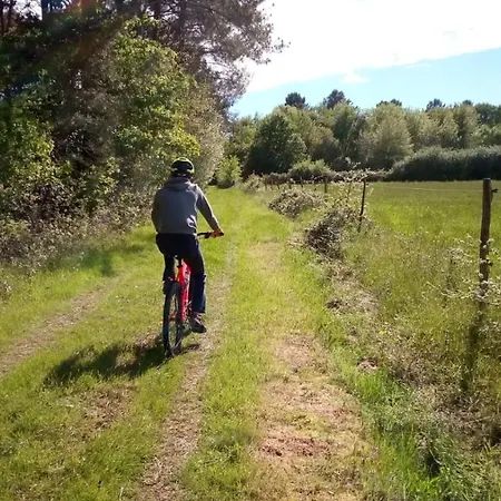 Des Gravets Sigalens