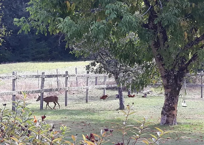 Semesterbostad Des Gravets