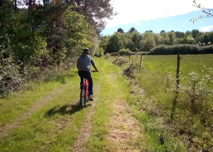 Des Gravets Sigalens